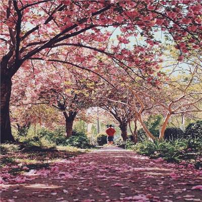 2023澳门管家婆资料正版大全app下载