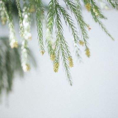 足球滚球的正规平台app