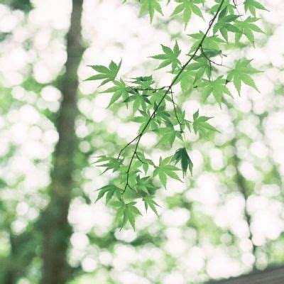 火狐体育下载app