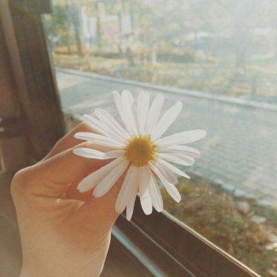 皇冠welcome下载app下载