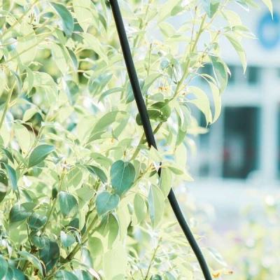 星空体育官方网站app下载